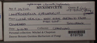Image Associated With the Occurence